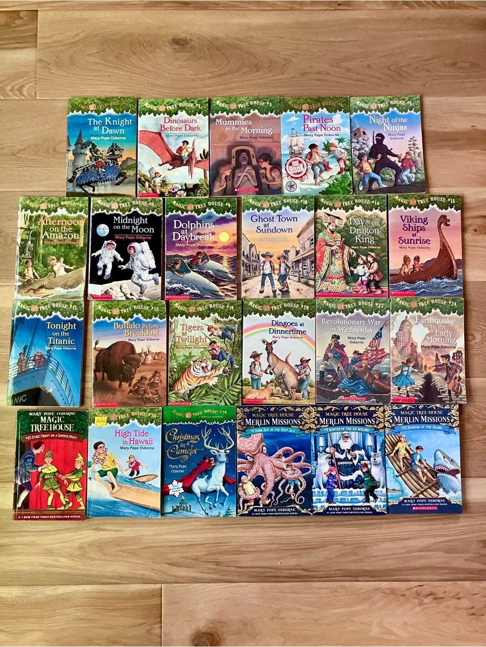 Set of 23 Magic Tree House Books